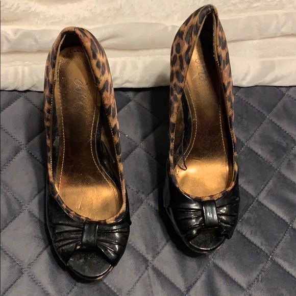 Leopard - Picture 2 of 2